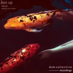 Risk Ep by Kon Up album reviews, ratings, credits