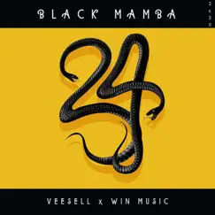 Black Mamba - Single by Veesell album reviews, ratings, credits