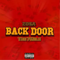 Back Door (feat. Tae 7mile) - Single by Zosa album reviews, ratings, credits