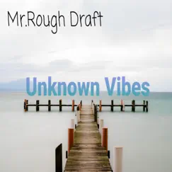 Unknown Vibes (feat. Mistro) Song Lyrics