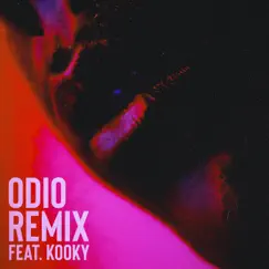Odio (feat. Kooky) [Remix] Song Lyrics