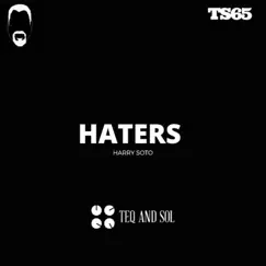 HATERS - Single by Harry Soto album reviews, ratings, credits