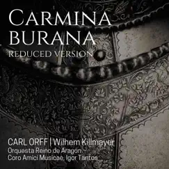 Carmina Burana: Estuans interius Song Lyrics