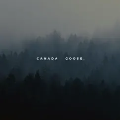 Canada Goose - Single by Koziithegoat album reviews, ratings, credits