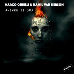 Answer Is 303 - Single by Kamil Van Derson & Marco Ginelli album reviews, ratings, credits