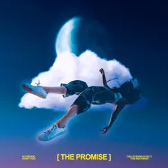 The Promise - Single by Notebook. & Danny Void album reviews, ratings, credits