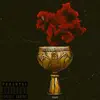 Toast (feat. Hokage Haze) - Single album lyrics, reviews, download