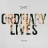 Ordinary Lives (feat. Fr Rob Galea) - Single album lyrics, reviews, download