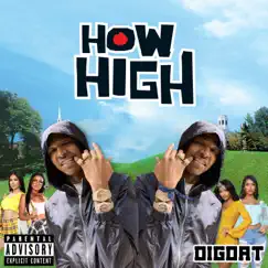 How High - Single by DigDat album reviews, ratings, credits