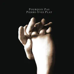 Pourquoi pas by Pierre-Yves Plat album reviews, ratings, credits