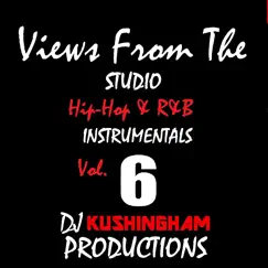 Views From the Studio Hip-Hop & R&B Instrumentals, Vol. 6 by DJ Kushingham Productions album reviews, ratings, credits