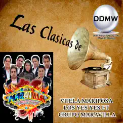 Vuela Mariposa (feat. Los Yes Yes) - Single by Grupo Maravilla De Robin Revilla album reviews, ratings, credits