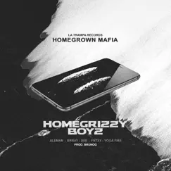 Homegrizzy Boyz (feat. Aleman, Brray, Dee, Fntxy & Yoga Fire) Song Lyrics