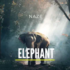 Elephant - Single by Naze album reviews, ratings, credits