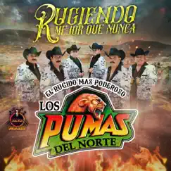 Rugiendo Mejor Que Nunca (El Rugido Más Poderoso) by Los Pumas del Norte album reviews, ratings, credits