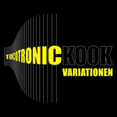 K.O.O.K. (feat. Sinus Albino) [KOOK Remix] Song Lyrics