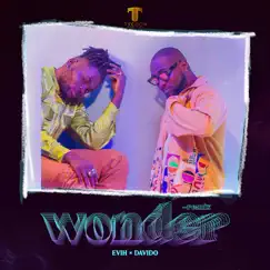 Wonder (Remix) [feat. Davido] - Single by Evih album reviews, ratings, credits