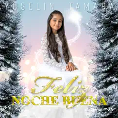 Feliz Noche Buena - Single by Yoselin Tamara album reviews, ratings, credits