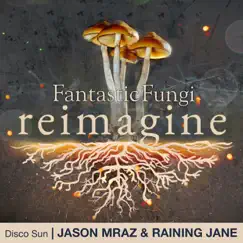 Disco Sun (Fantastic Fungi: Reimagine) - Single by Jason Mraz & Raining Jane album reviews, ratings, credits