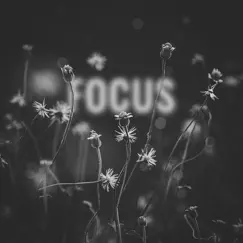 Focus (feat. Lena Leon) Song Lyrics