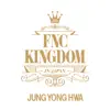 Live 2015 FNC Kingdom album lyrics, reviews, download