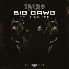 Big Dawg - Single by Taebo Tha Truth & King Iso album reviews, ratings, credits