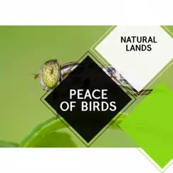 Peace of Birds - Natural Lands by Sleepy Times, Deep Sleep Music Collective & Deep Sleep Relaxation album reviews, ratings, credits