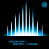 I Wanna (feat. Mister K) - Single album lyrics, reviews, download