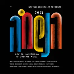 Sukkah'leh (feat. Mordechai Ben David & Yeedle) Song Lyrics
