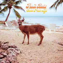 Gold Past Life by Fruit Bats album reviews, ratings, credits