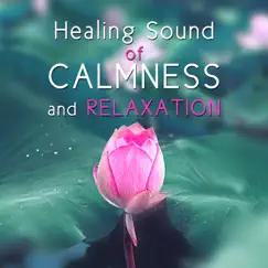 Shiatsu Massage – Lotus Flower Song Lyrics