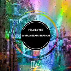 Imvula in Amsterdam - Single by Felo Le Tee album reviews, ratings, credits