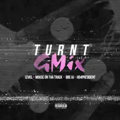 Turnt G-Mix (feat. Mouse On Tha Track, BBE AJ & HD4President) - Single by Level album reviews, ratings, credits