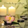 Paradis du spa celtique - Flûte irlandaise relaxante, harpe angélique, musique celtique pour massage album lyrics, reviews, download