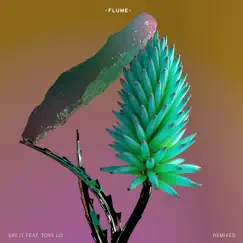 Say It (feat. Tove Lo) [Anna Lunoe Remix] Song Lyrics