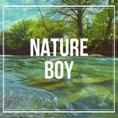 Nature Boy - Single by Modern Villain album reviews, ratings, credits