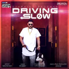 Driving Slow - Single by Badshah album reviews, ratings, credits