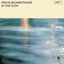 In the Flow - Single by Niklas Blumenthaler album reviews, ratings, credits