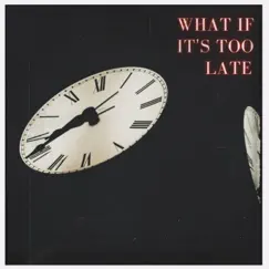 What If It's Too Late - Single by Airinna Namara album reviews, ratings, credits