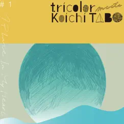 A Place In My Heart (feat. moumoon) - Single by Tricolor meets Koichi TABO album reviews, ratings, credits