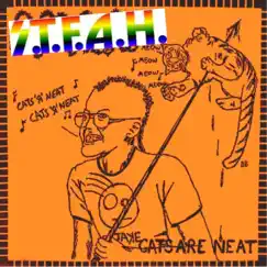 Cats Are Neat - Single by STFAH album reviews, ratings, credits