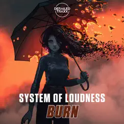 Burn (Extended Mix) Song Lyrics