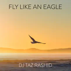 Fly Like an Eagle Song Lyrics