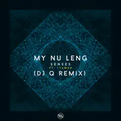 Senses (feat. Iyamah) [DJ Q Remix] - Single by My Nu Leng album reviews, ratings, credits