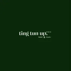 Ting Tun Up, Pt. II - Single by Skiifall & Knucks album reviews, ratings, credits