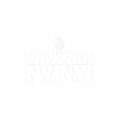 Wajinga Nyinyi - Single by King Kaka album reviews, ratings, credits