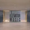 Elevator Music (feat. A.NAYA) - Single album lyrics, reviews, download