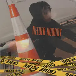 Needed Nobody - Single by Luh 6ix album reviews, ratings, credits