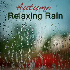 Rain Relaxing Sounds Song Lyrics