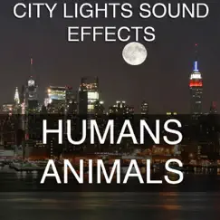 Horses Slow Trotting Sound Effects Sound Effect Sounds EFX SFX FX Animals Horse Song Lyrics